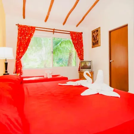 Executive Budget Room With Swimming Pool Air Conditioning And Parking