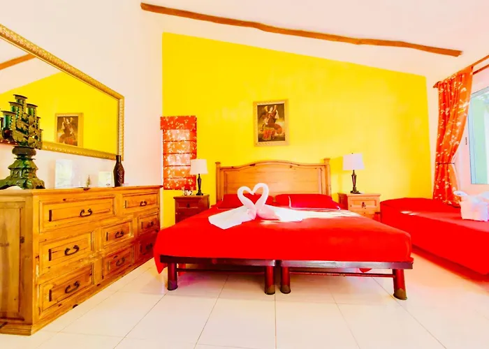 Gasthuis Playacar - Executive Budget With Swimming Pool Air Conditioning And Parking Playa del Carmen