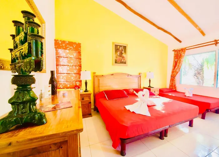 Playacar - Executive Budget With Swimming Pool Air Conditioning And Parking Gasthuis Playa del Carmen