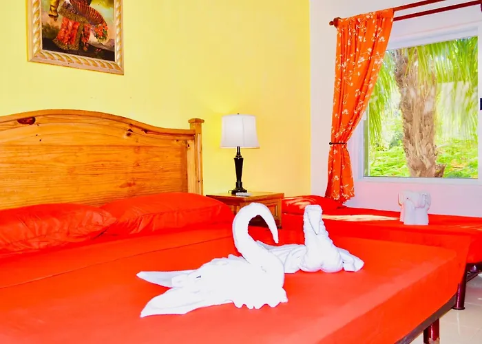 Gasthuis Playacar - Executive Budget With Swimming Pool Air Conditioning And Parking Playa del Carmen