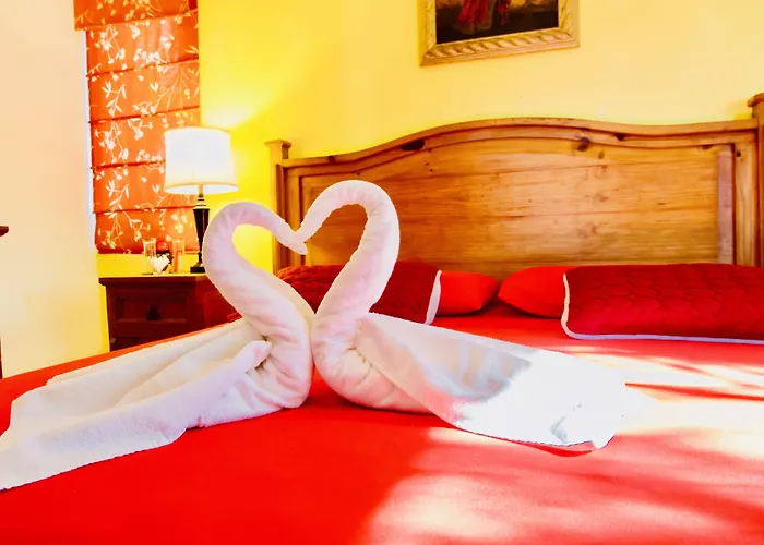 Playacar - Executive Budget With Swimming Pool Air Conditioning And Parking 4* Playa del Carmen