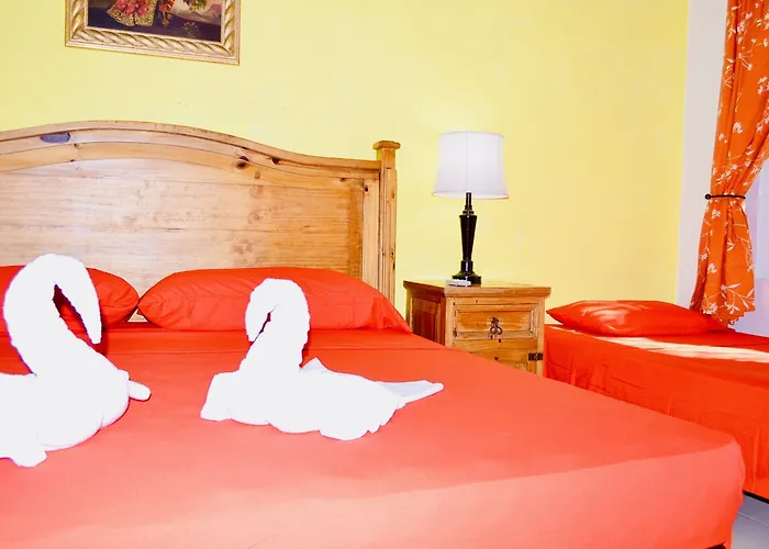 Gasthuis Playacar - Executive Budget With Swimming Pool Air Conditioning And Parking Playa del Carmen